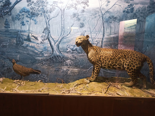 Regional Museum of Natural History (RMNH)