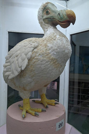 Regional Museum of Natural History (RMNH)